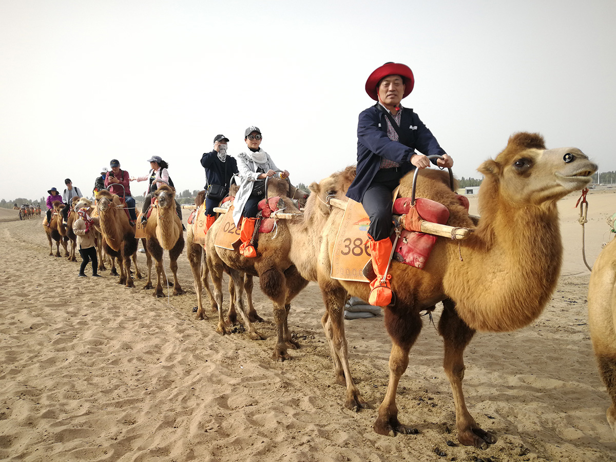 ŷ���������й��Ρ��ٷ���վ - OUYI SPORTS